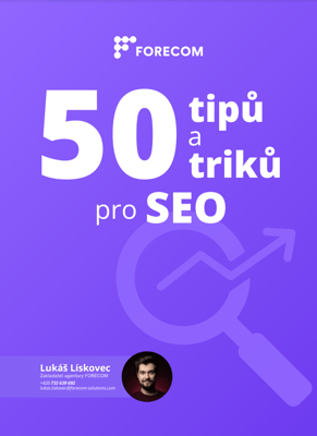 50-tipu-a-triku-pro-seo